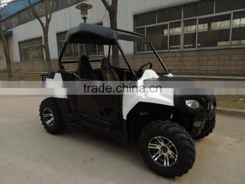 250cc Automatic 2WD transmission go kart/ sport UTV (TKG200-A2)