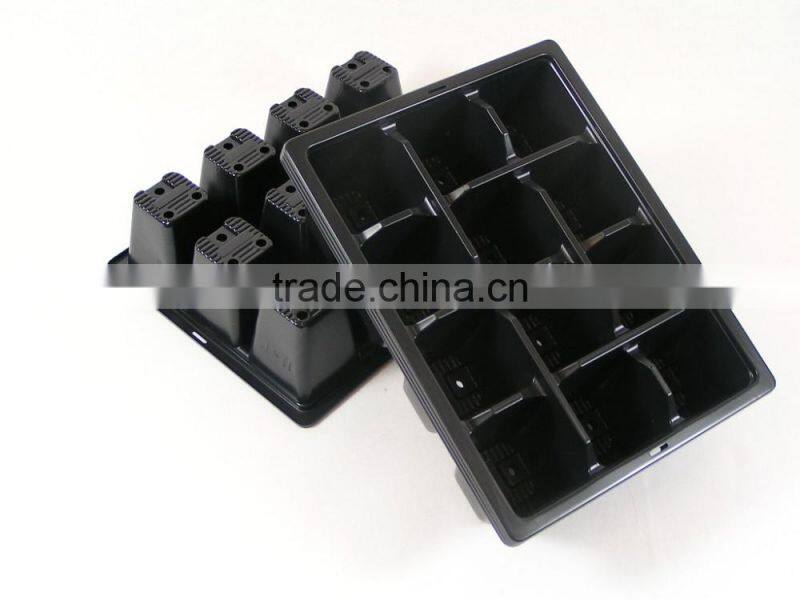 8 cell small black plastic seed tray insert trays, stock MOQ 10000pcs
