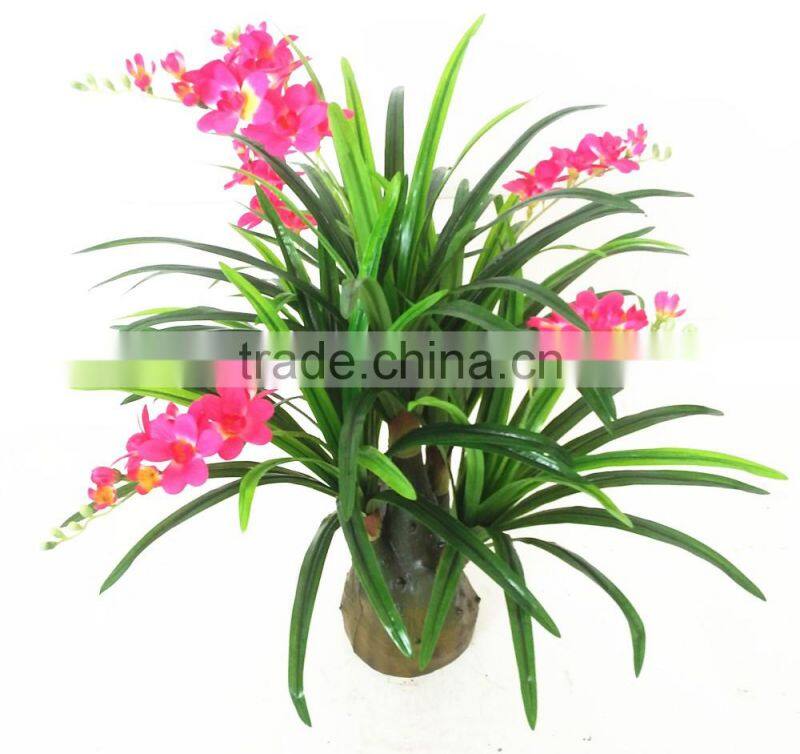 HX0101 arnamental tree