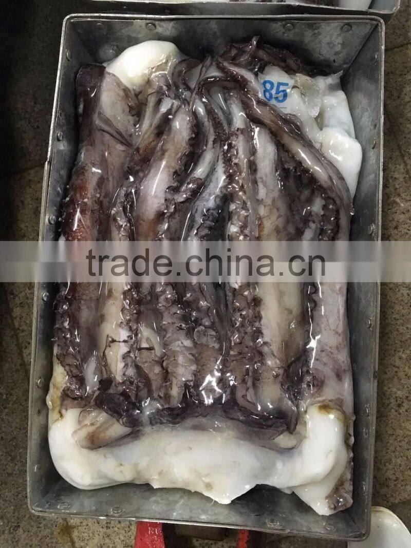 frozen giant squid tentacles/frozen giant squid soft tentacles