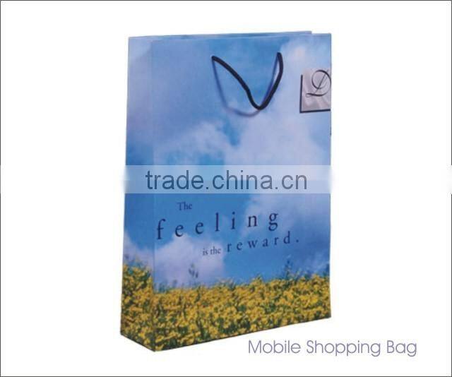 Shopping paper bags with glossy finish & Rope Handles