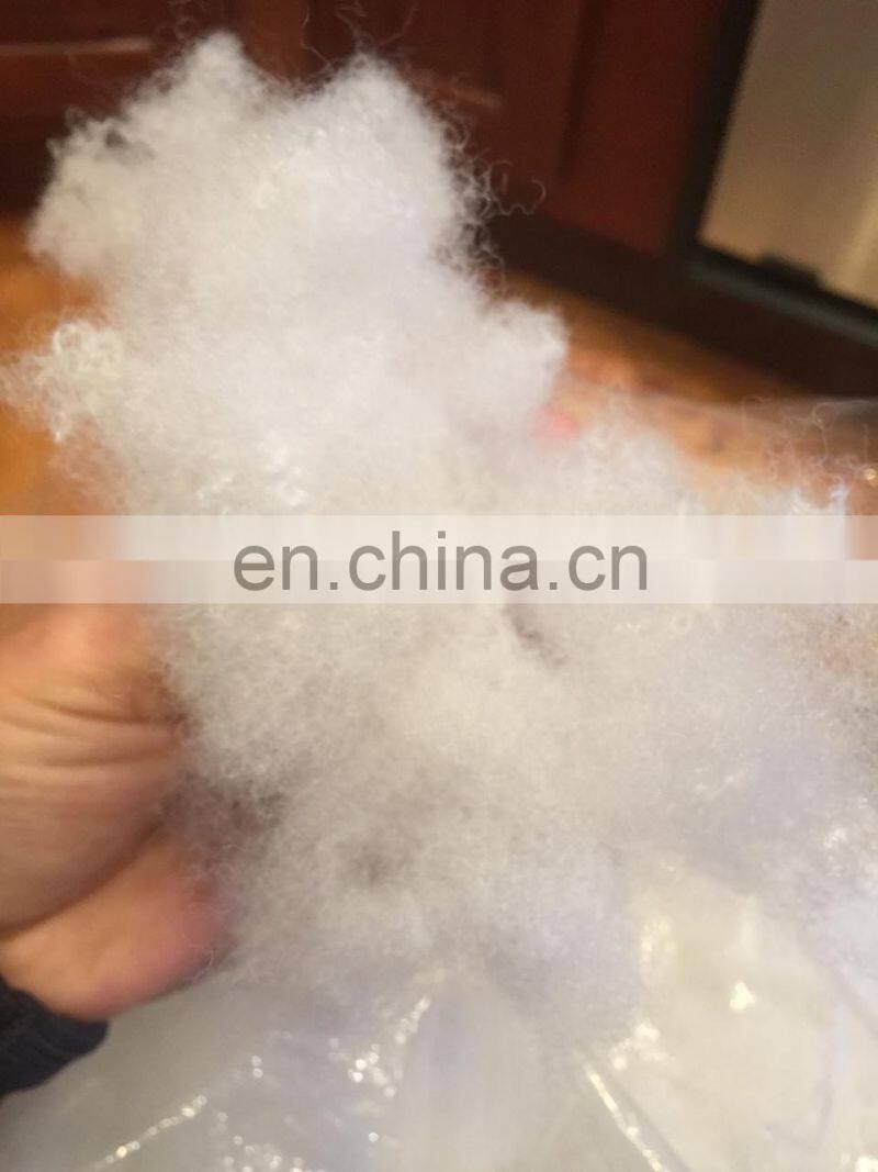 Polyester Non-Woven Indoor/Outdoor Pillow Form