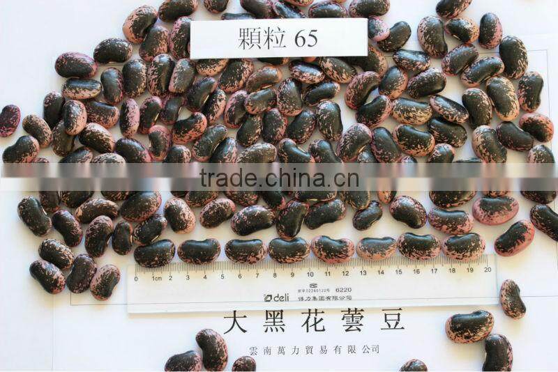 Large Black Speckled Kidney Beans, max. 45/100gr