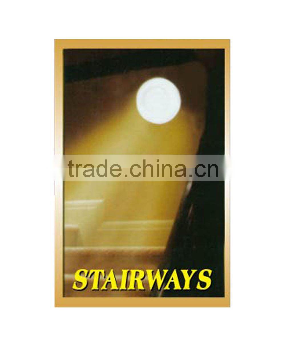 18led super bright remote controlled battery operated led light