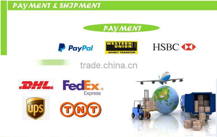 ROHS ,EMC,EN12470-3,Reach,CE approved LCD display clinical water-proof professional big digital thermometer