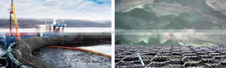 PET Agriculture Fish Farm Cage Netting Gabion Hexagonal Wire Mesh