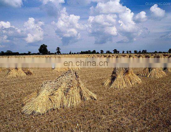 China Hot Self walking wheat harvesting and bundling machine /rice straw reaper and binder machine