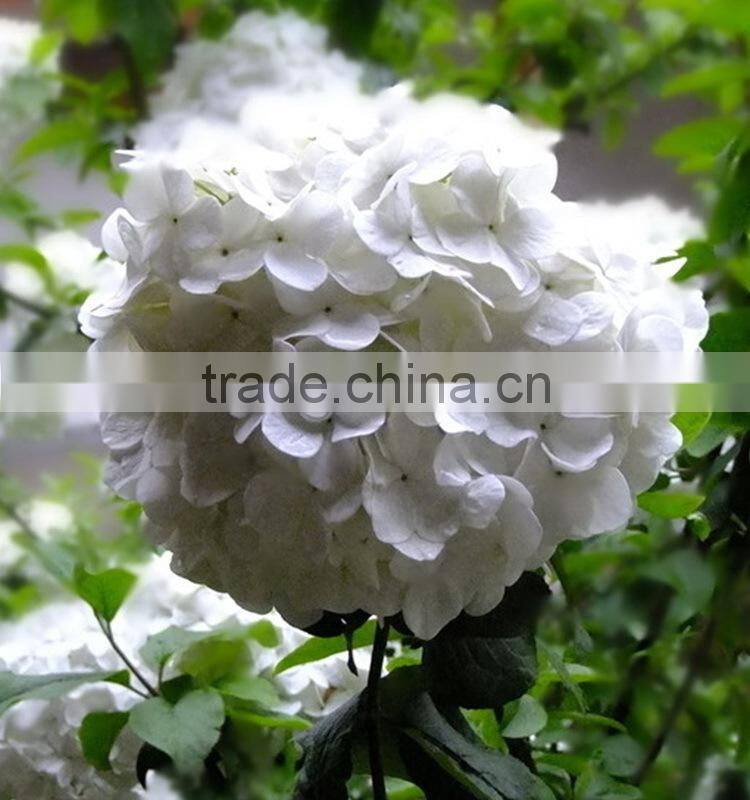 Newest OEM top sell white hydrangea bouquet