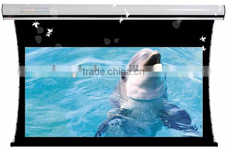 wall mount electric projector screen/projection screen