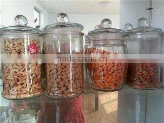 Newest pet food production line