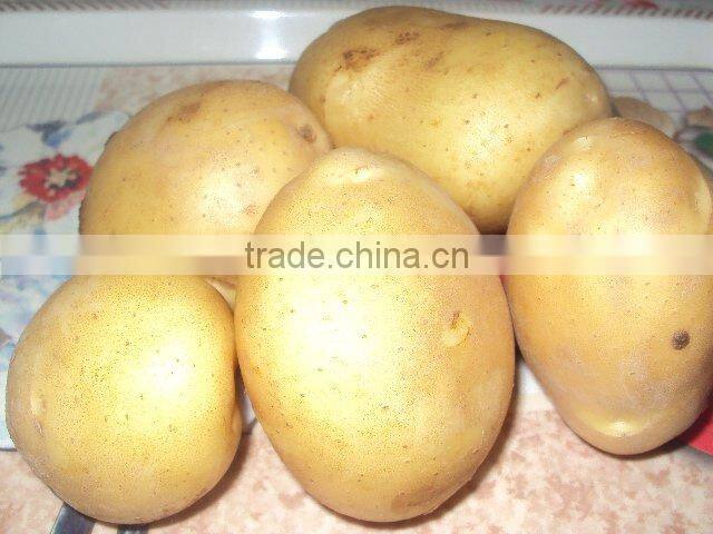 Fresh Potato from Pakistan
