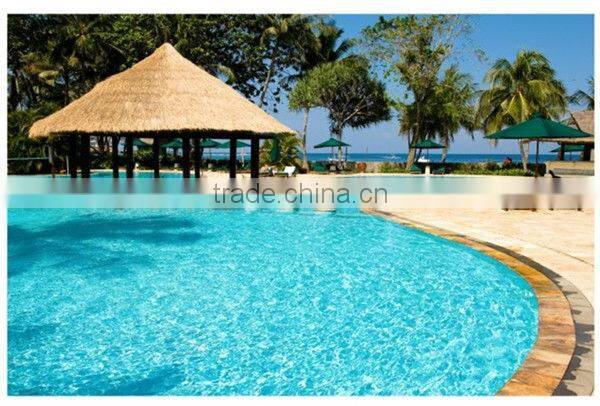 Guangzhou high quality swimming pool water heater