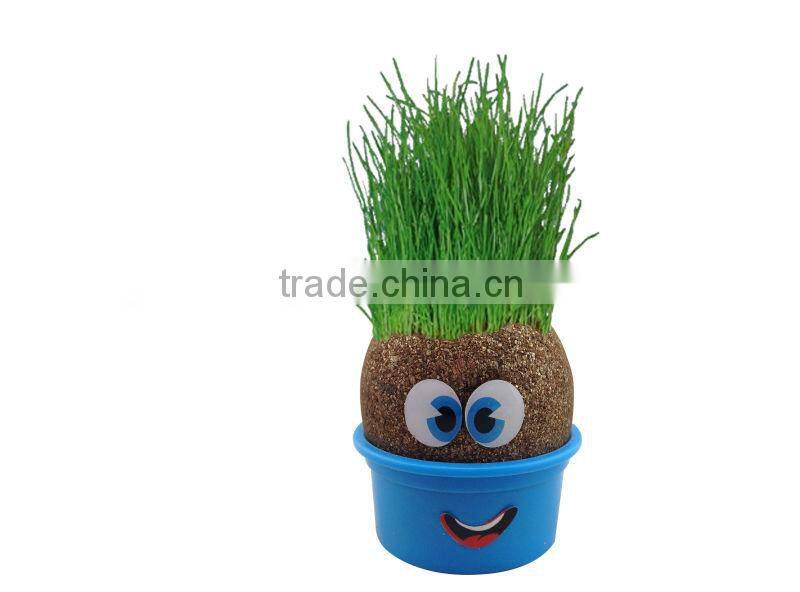 Novelty Fun Kids Plants doll grass head doll