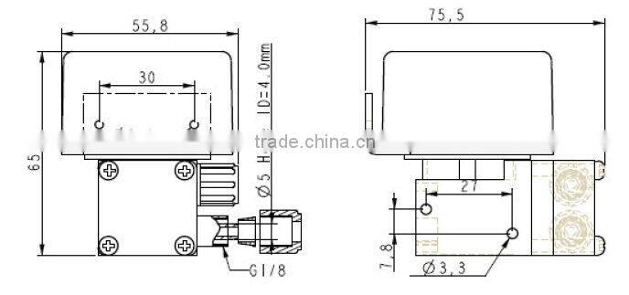 Diaphragm 12v 24v dc brushless Home Oxygen Concentrators pump