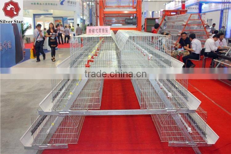 Chicken rearing cage, chicken farm cage for egg laying hens