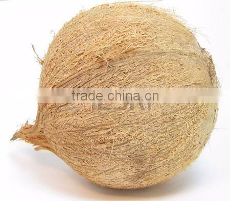 Andara coconuts