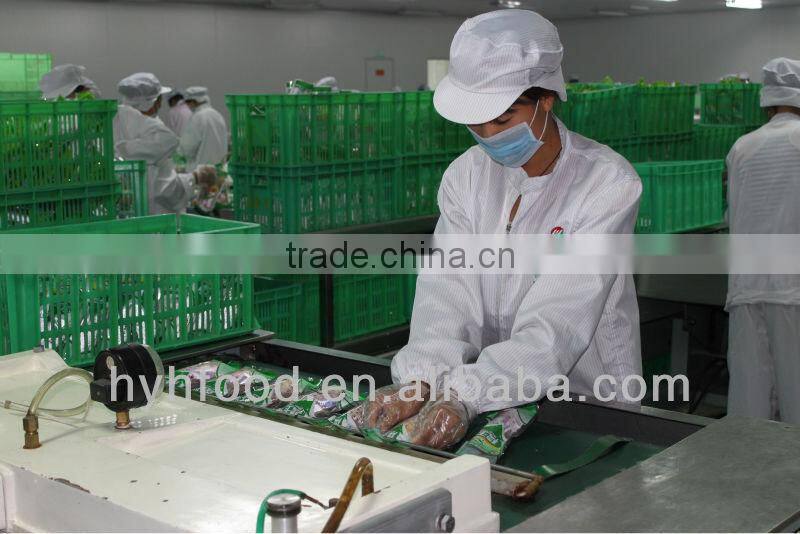 IQF Sweet Corn Cob Fresh Steamed Corn