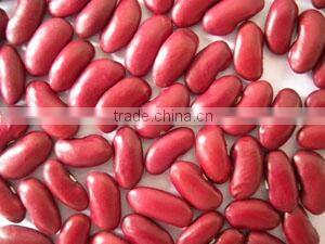 Dark Red Kidney Beans (new)