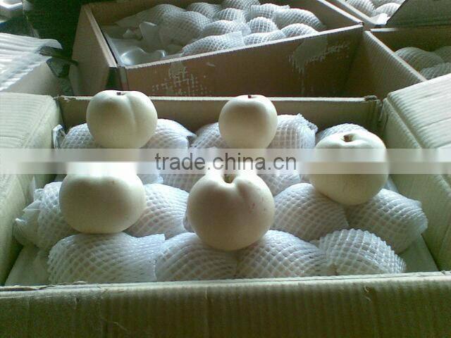 China fresh emerald pear with cheap price and good quality
