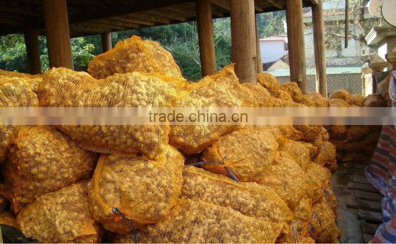 VIETNAM FRESH GINGER