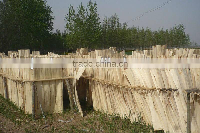 wood cheese slicer for wood processing
