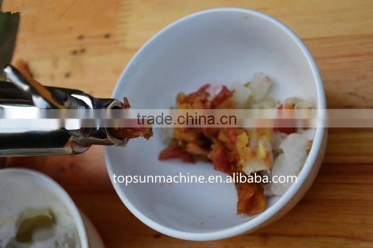 wheat grass juicer cast iron
