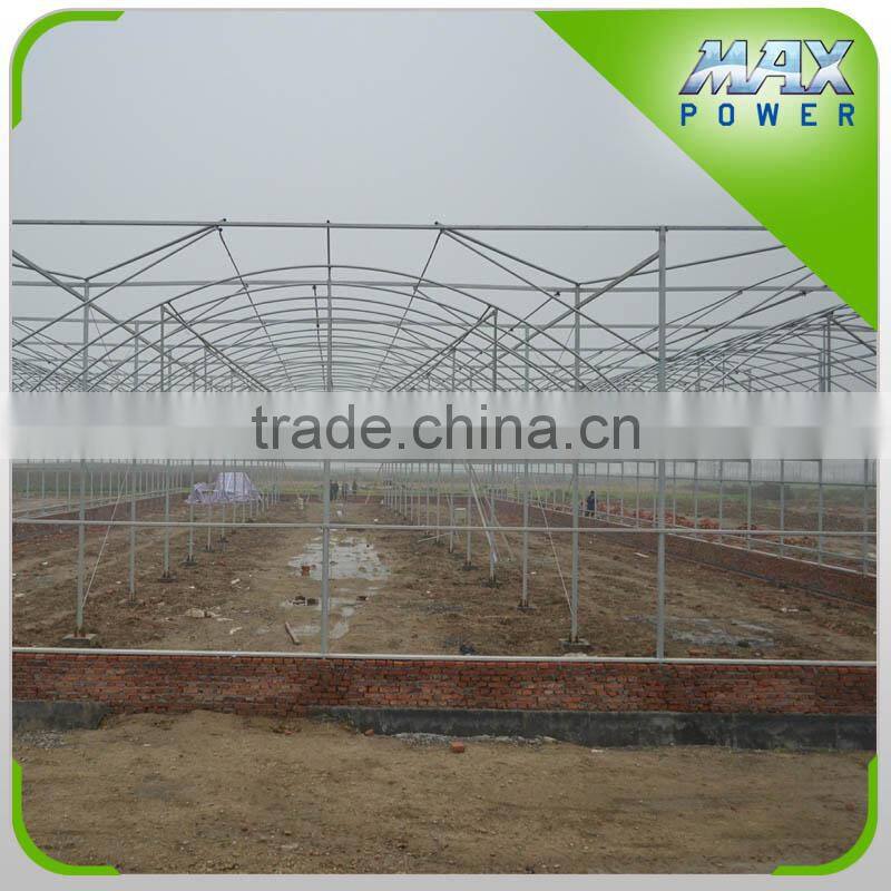High Quality Commercial Multi-Span Vegetable Mushroom Greenhouse
