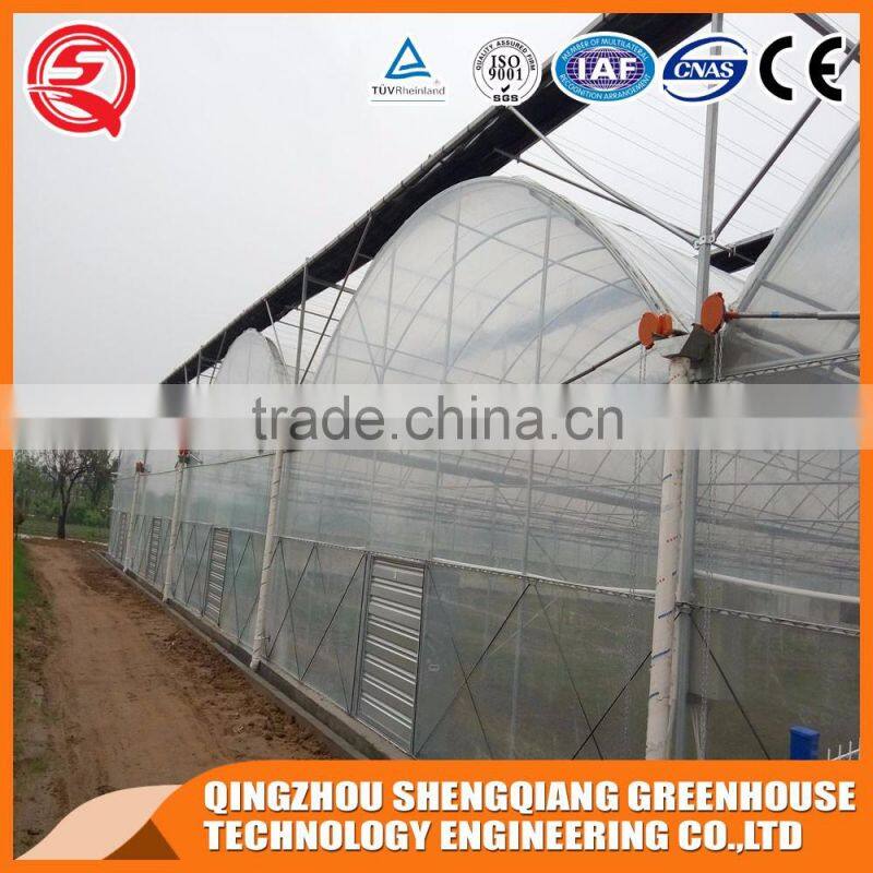 China direct plastic greenhouse for Agricultural farming