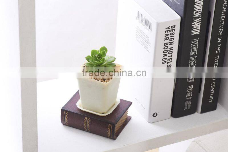 Plastic Colorful Small Square Flower Pots Without Pallet -3 inch