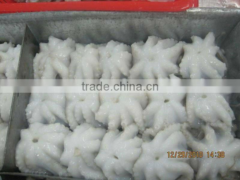 frozen baby octopus/ octopus cut