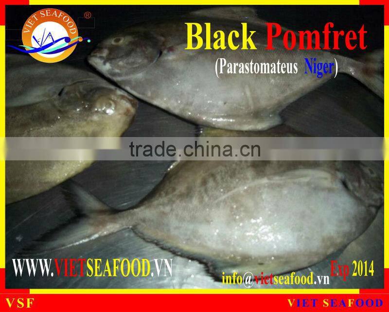 FROZEN W/R BLACK POMFRET