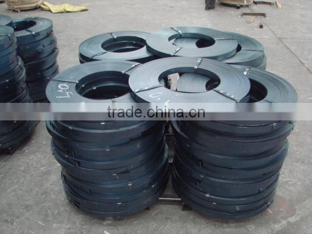 Steel Strip/Dark Blue Steel Strip/Strips in Price