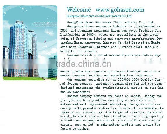 woodpulp non-woven cleaning cloth
