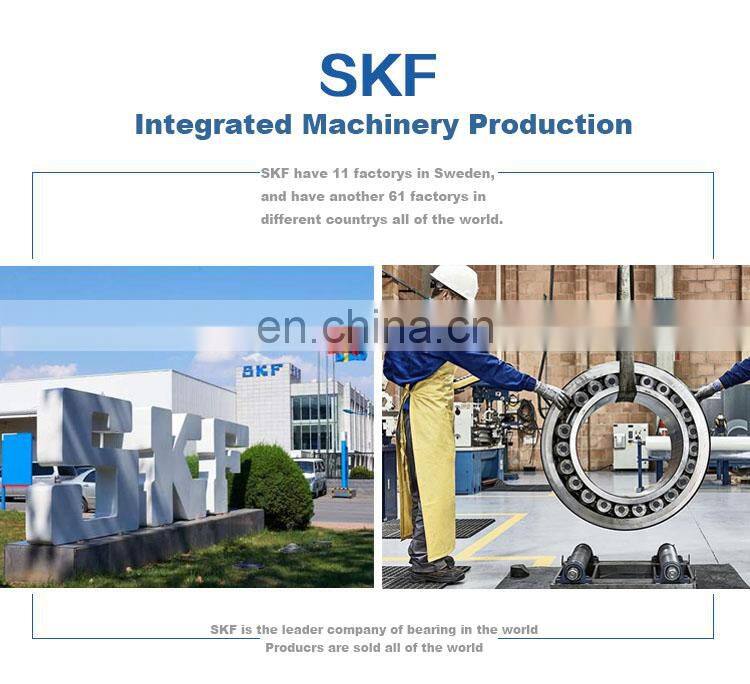 High Quality 6200 6201 6202 6203 6204 6205 6206 6207 6208 C3 Z ZZ DDU Deep Groove Ball SKF Bearing SKF