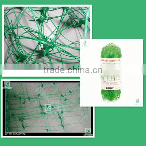 pea&bean plant support net