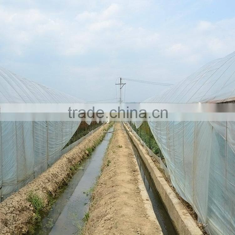 Fresh color OEM red violet