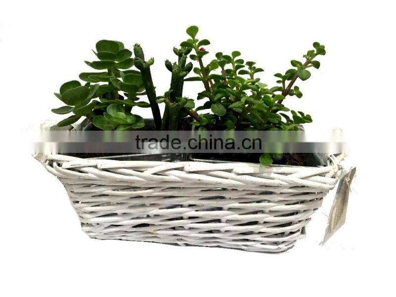 wicker basket, flower pots wholesale, wholesale wicker baskets