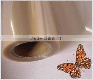 Inkjet Transparent Film ( Waterproof )