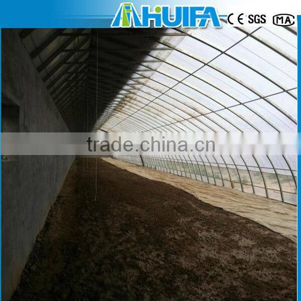 Agricultural Solar Green house For Tomatoes