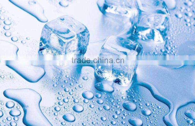 High Configuration 450KG/ Day Big Capacity Ice Vending Kiosk/ Ice Vending Shop/ Ice Vending Maker