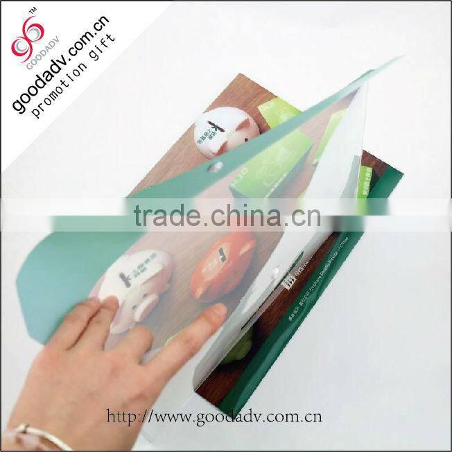 Customize logo plastic folder/pp file folder /paper cardboard file folder