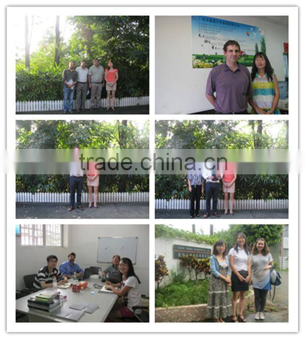 Galvanized steel types of bollard,road bollard,parking bollard