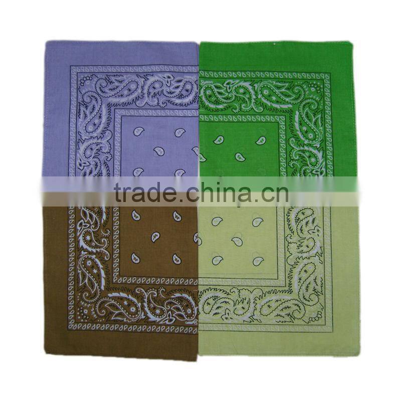 Paisley Bandanas double sided head wrap scarf
