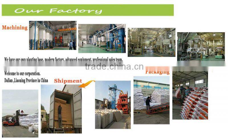 2016 new crop sunflower seeds 3638 market price