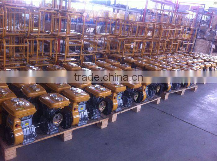 Robin water pump/Robin pump PTG307