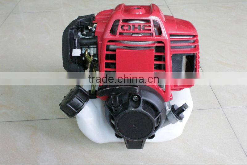 Knapsack Gaoline Power Sprayer 2/4-Stroke P768