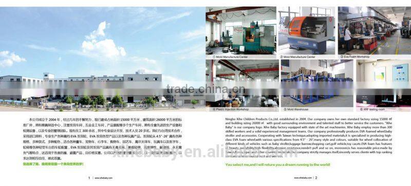 2 IN 1 Flying Disc 12"