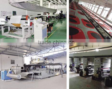 tyvek front window sunshade;dupont sunshade;promotion tyvek sunshade