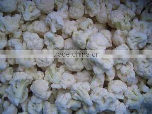 Frozen Broccoli Exporter