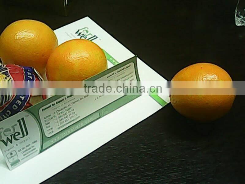 VALENCIA FRESH ORANGE FROM EGYPT
